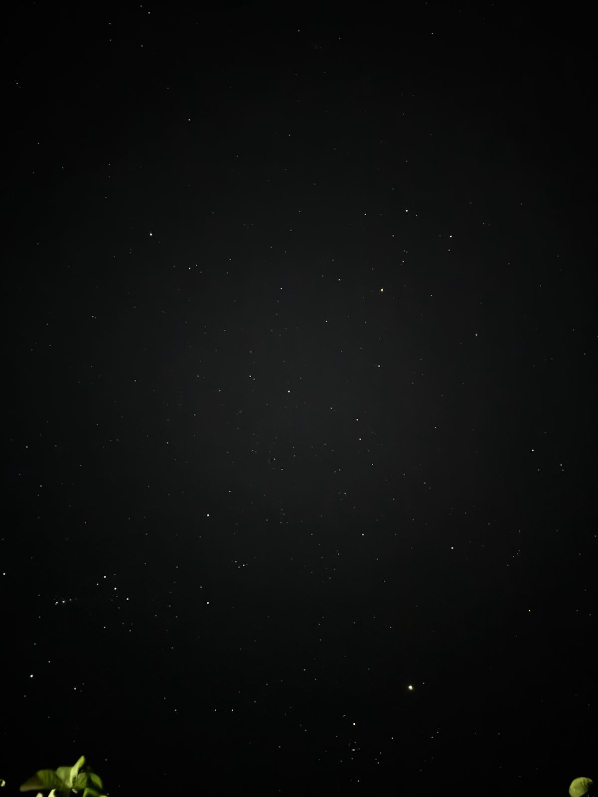 Night-time farm atmosphere at The Kutiram