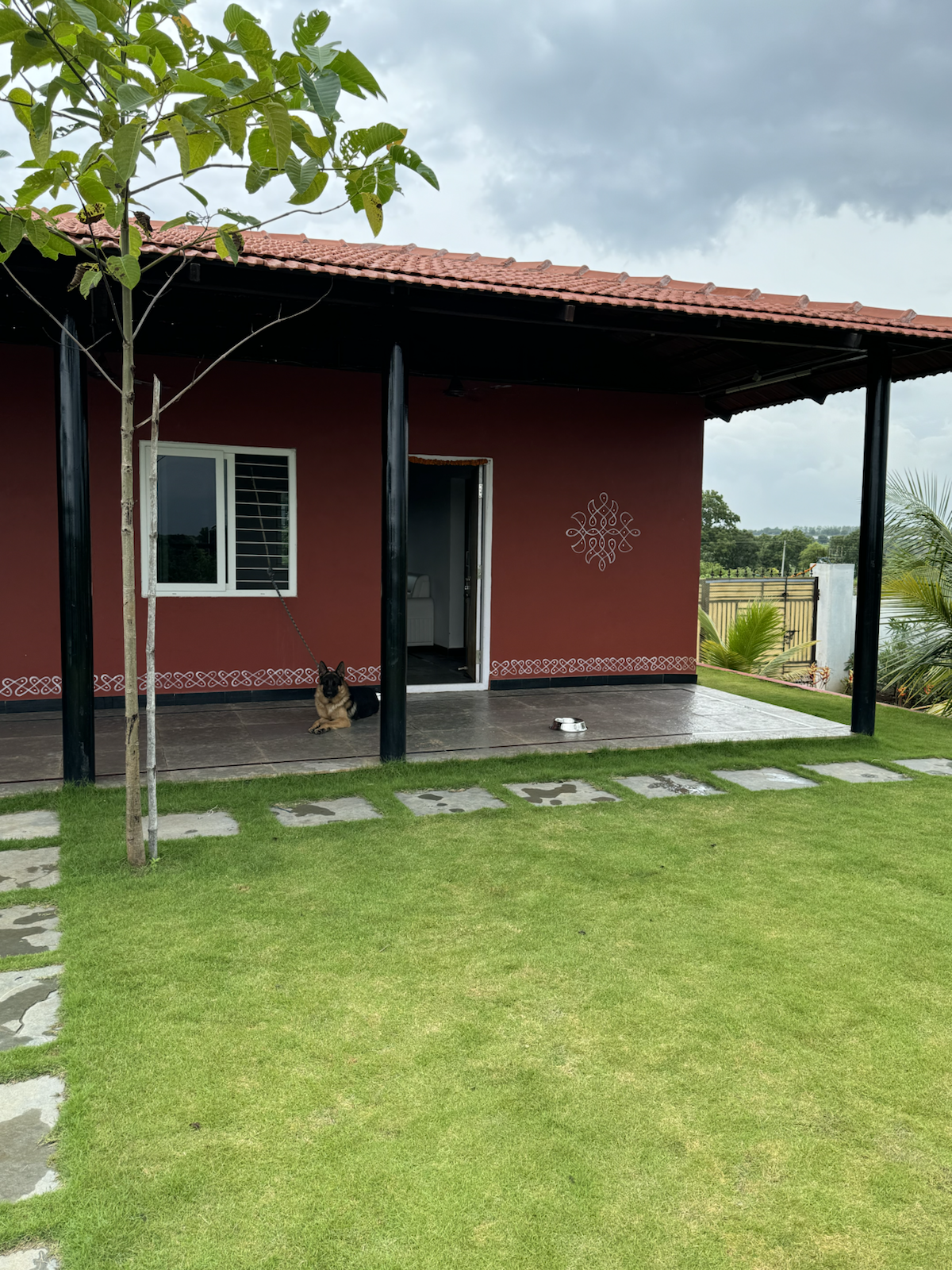 Banana grove in warm light at The Kutiram
