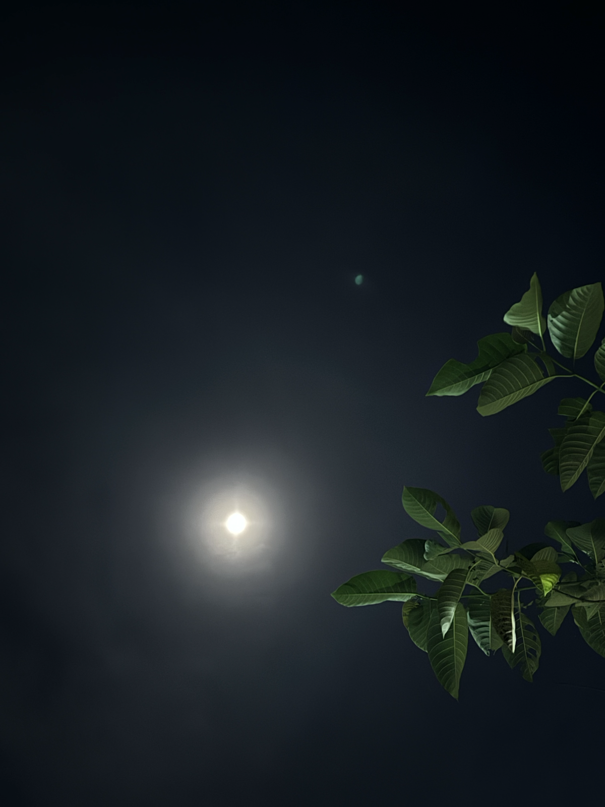 Night sky view at The Kutiram