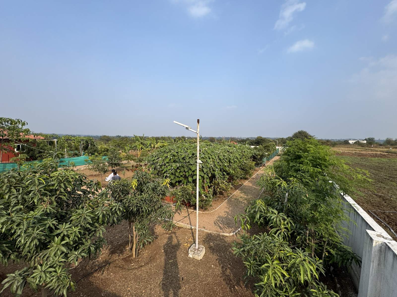 Wide orchard view at The Kutiram