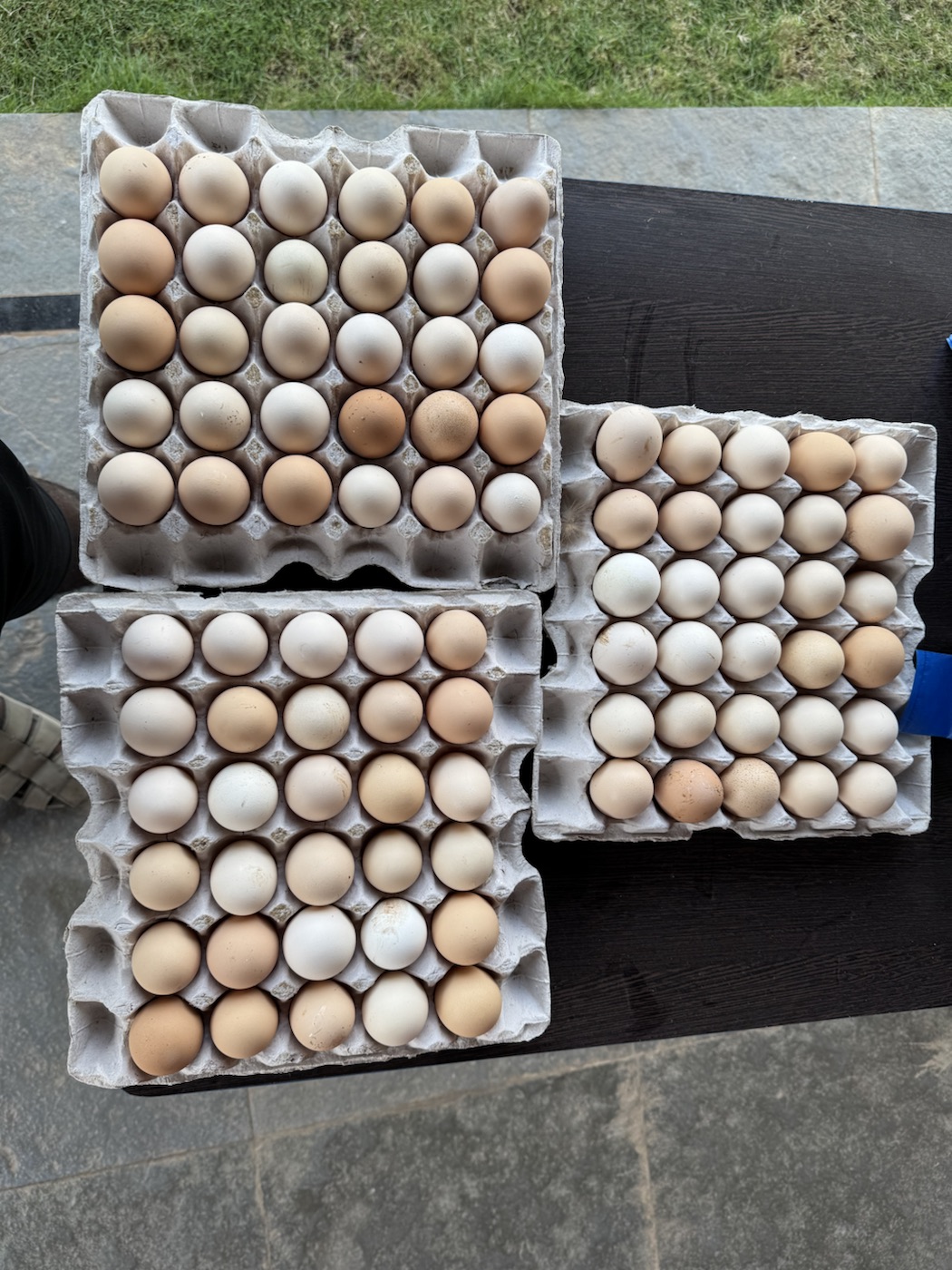 Fresh farm eggs collected at The Kutiram