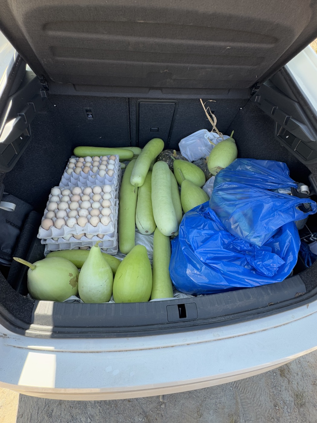 Farm produce and eggs packed after harvest at The Kutiram